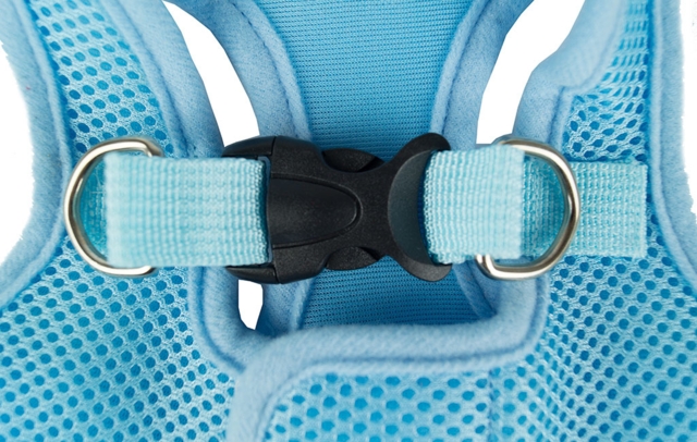 Step in sele | Tail Up