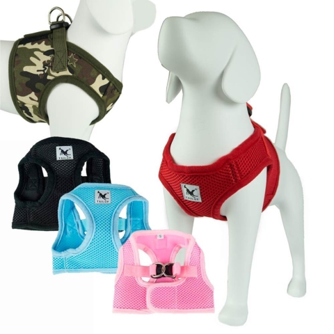 Step in sele | Tail Up