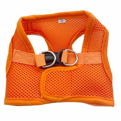 Step in sele | Tail Up - Orange