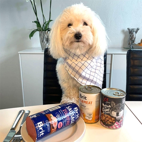 Så er der serveret!