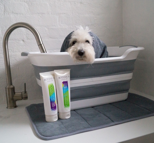 Ollipet foldbar badekar med bundprop