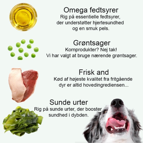 Lækker vådfoder med and, urter, grøntsager og omega fedtsyrer