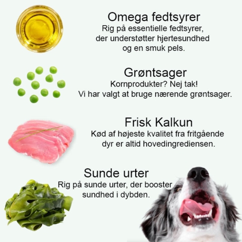 Info om Little Big Paws vådfoder med kalkun