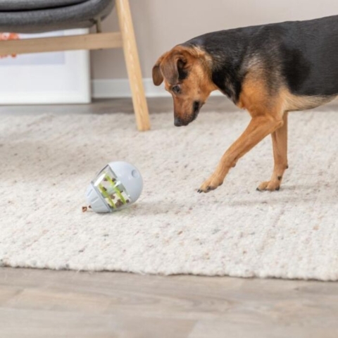 Sjovt og stimulerende hundelegetøj der kan fyldes med godbidder