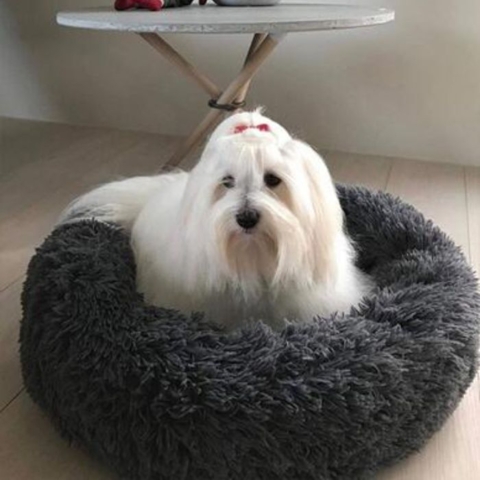 Soft Cloud Donut Hundeseng med Coton i str 60 cm - Billede fra en kunde