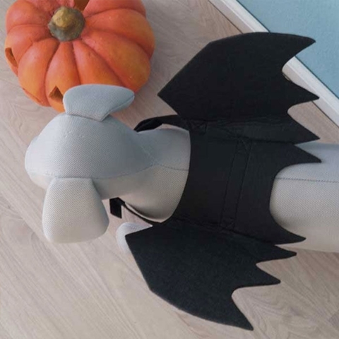 Flagermusevinger | udklædning til hunden