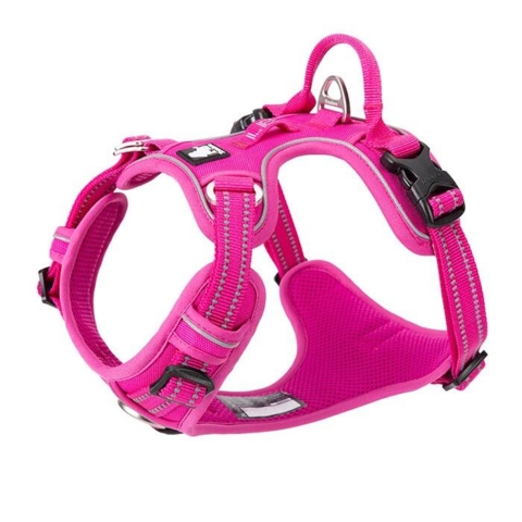 True Love Explosion Proof | Hundesele → Pink