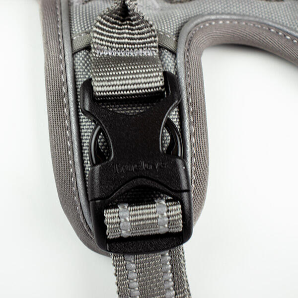 True Love Explosion Proof | Hundesele