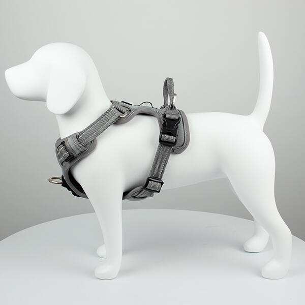 True Love Explosion Proof | Hundesele → Grå