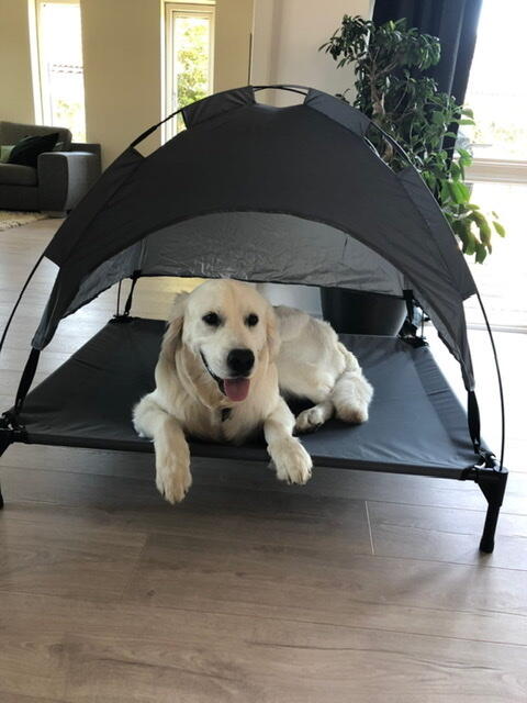 Hundeseng med soltag | Kundebillede