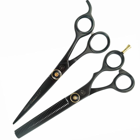 Ollipet Exclusive Black/Gold saksesæt 7-7,5"