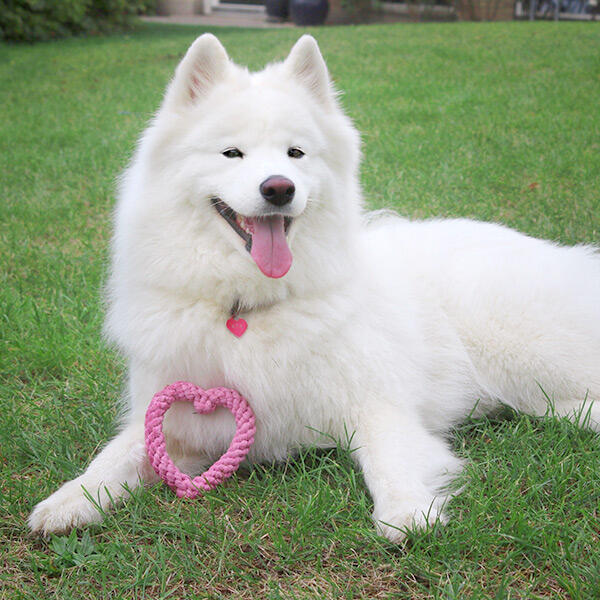 Legerebspakke | højtidspakke | Valentines hjerte