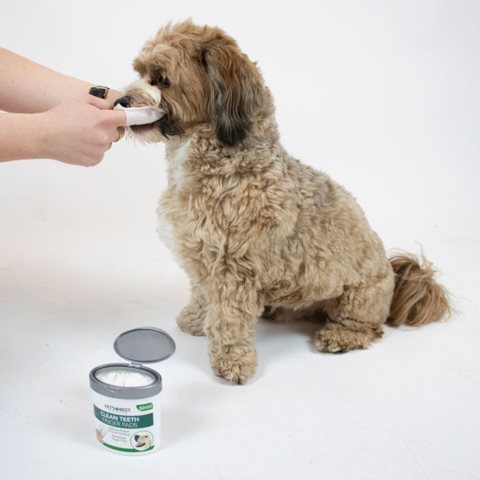 Clean Teeth Finger Pads | Vet's Best