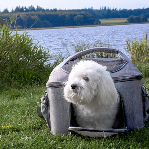 Ollipet Luksus Odysse Pet Box