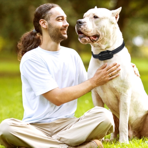 Antigø-halsbånd med lyd og vibration - fjernbetjent fra op til 600 meter