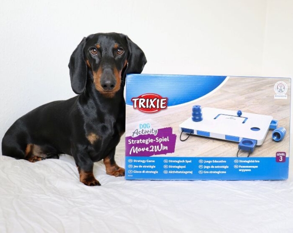 Trixie Move2win | Aktivitetsspil level 3