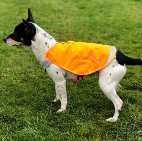 Refleksvest str. S| Truelove