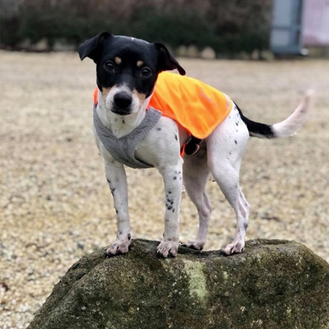 Refleksvest str. S| Truelove