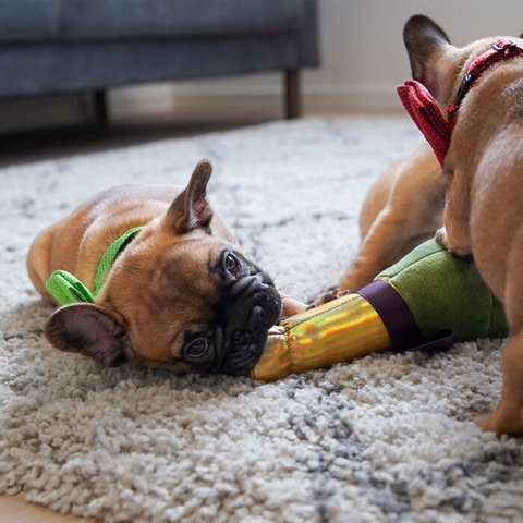 Plys Champagneflaske hundelegetøj I Medium