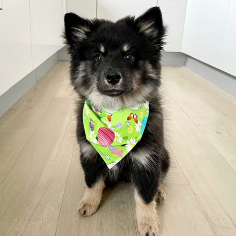 Ollipet Påske Bandana | Rabbit in the forrest | Auba