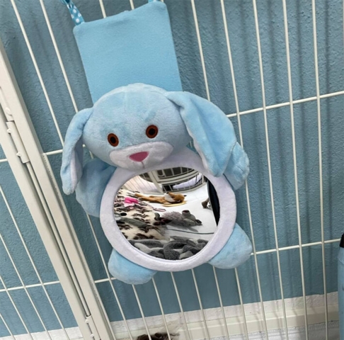 Hvalpespejl hænger på hvalpegård