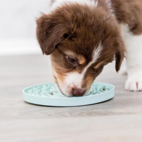 Den perfekte aktivering af din hvalp. Kan også bruges som slowfeeder hvis hvalpen sluger sin mad.
