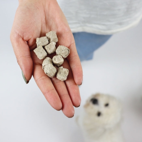 Frysetørret Snacks med Kylling