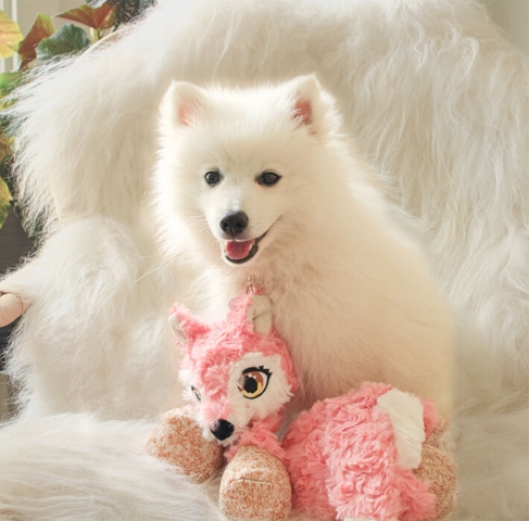 KONG Low Stuff Flopzie | Lyserød ræv→ Medium