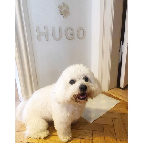 Træ bogstaver I  Fra en glad kunde