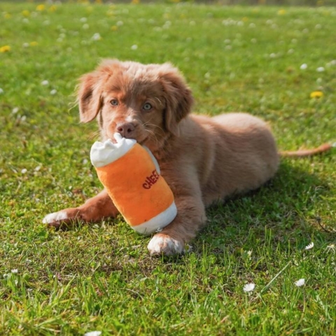 Plys Ølkrus er et sjovt hundelegetøj til alle hunde