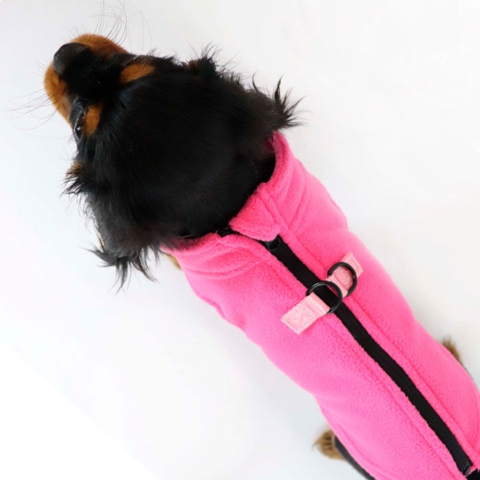 Ollipet Lumi Jacket