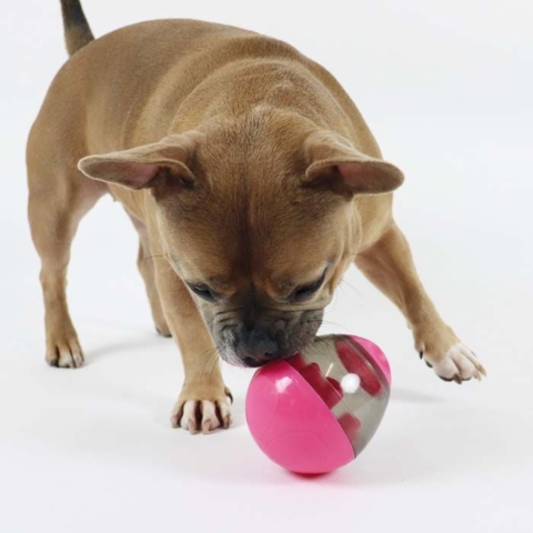 Aktivitetsæg I pink