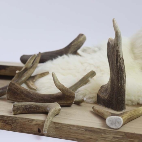 NATURBEN Dådyrgevir