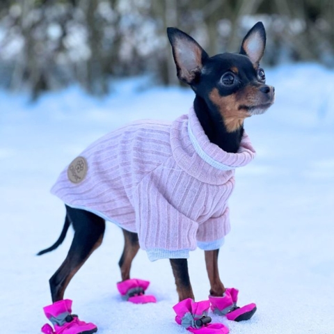 Ollipet Indigo Hyggetrøje | OUTLET