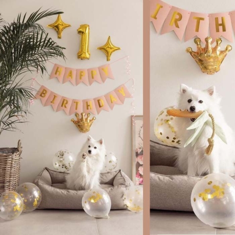 Ollipet Happy Birthday Party diagender I Lyserød