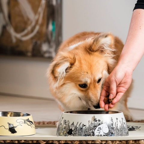 Muurla Mumitrolde hundeskål