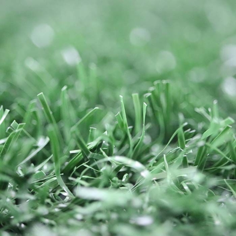 Tissemåtte til hundetoilet