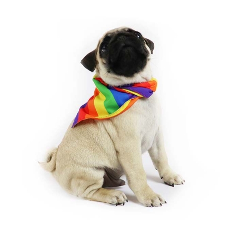 Pride Hundebandana