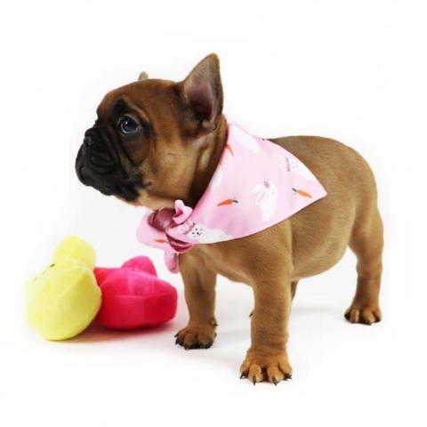 Easter Dog Bandana I Lyserød