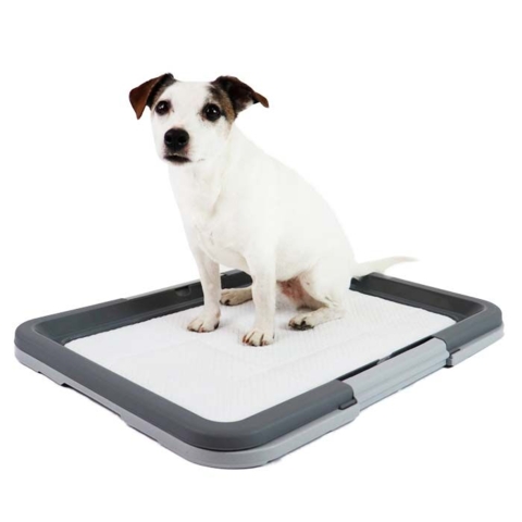Doggy Trainer | Hundetoilet