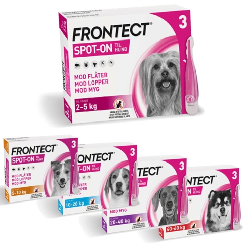 FRONTECT 3