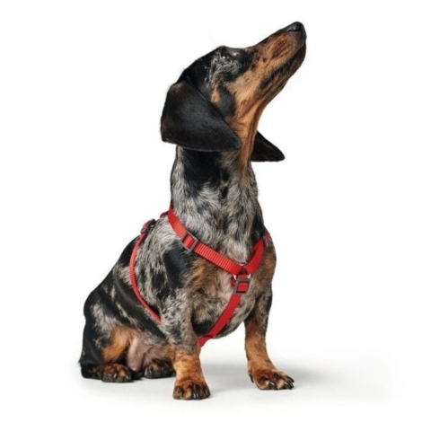 London Vario Rapid Hundesele