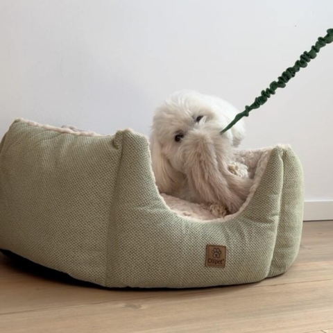 Belønningslegetøj til alle hunde