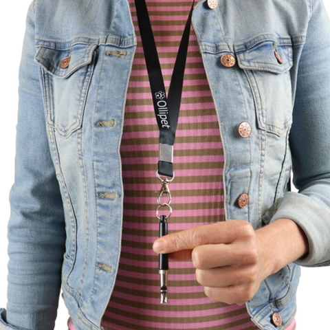 Ollipet Træningsfløjte