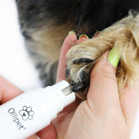 Ollipet Elektrisk Super Neglefil