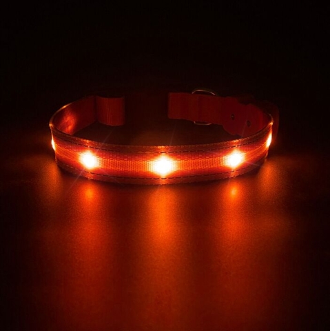 LED-halsbånd til hunde i flere farver og størrelser