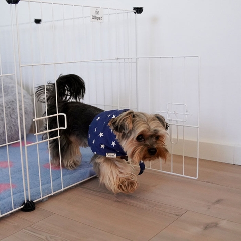 Ollipet LIGHT Hvalpegård perfekt til mindre hunde