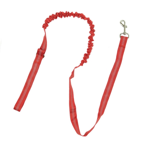 Ollipet Elastik line