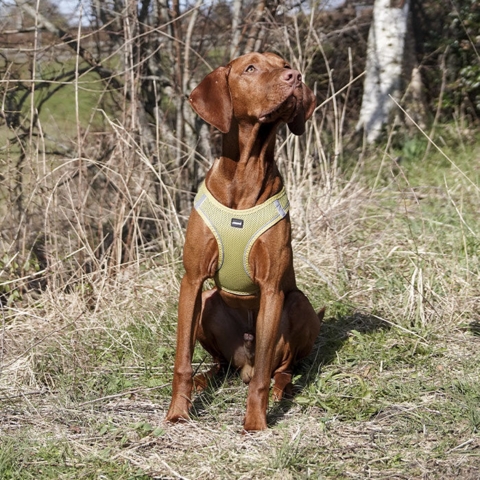 Ozami Air Mesh Step-In Sele