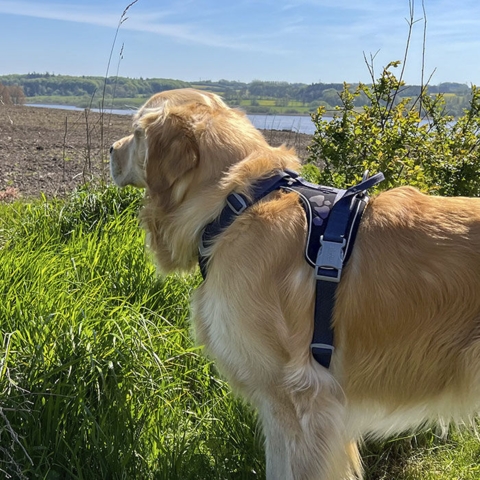 Weekend Warrior Sele | Carlos bruger str. 80-100 cm